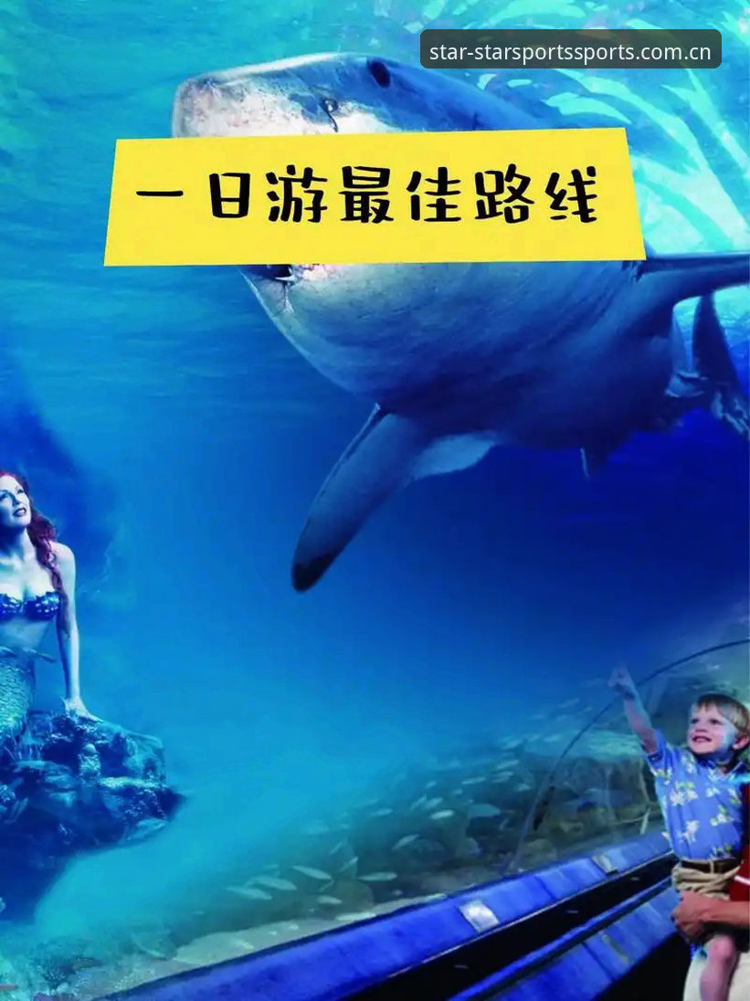星空体育最新下载全面解析：新手入门与操作指南