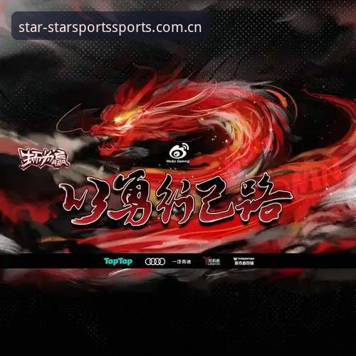 星空体育登录入口对比 星空体育官网入口对比全面评测:从登录体验到技术细节的深度分析